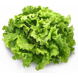 Salade BATAVIA Angers Vaillant