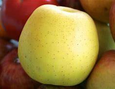 Pomme Golden Anjou Taudon