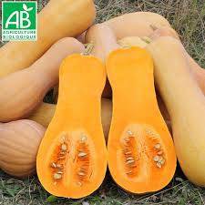 Butternut BIO 