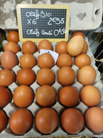 oeufs à l'unité cocobio