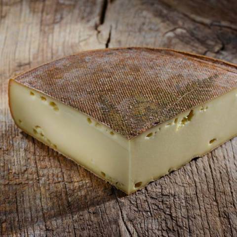 Tomme angevine 