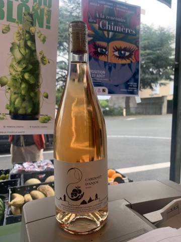 Cabernet D'Anjou bio Domaine des 2 Moulins