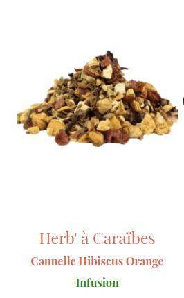 INFUSION cannelle hisbicus orange 