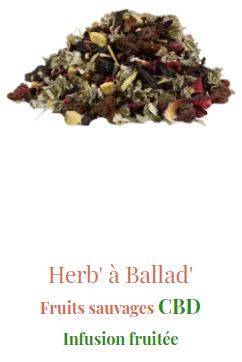 Infusion Fruits sauvages CBD